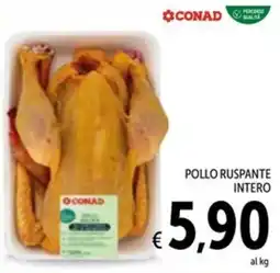 Spazio Conad Pollo ruspante intero offerta