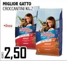 Big Food Miglior gatto croccantini offerta