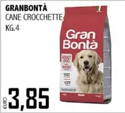 Big Food Gran Bontà Cane Crocchette offerta