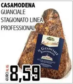 Big Food Casamodena guanciale stagionato linea professional offerta