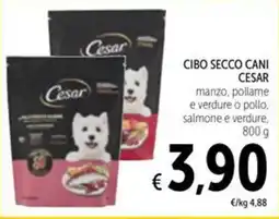 Spazio Conad Cibo secco cani Cesar offerta