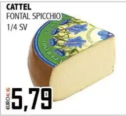 Big Food Cattel Fontal Spicchio offerta