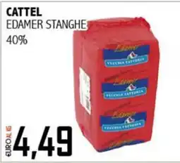 Big Food Cattel Edamer Stanghe offerta