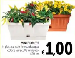 Spazio Conad Mini fioriera offerta