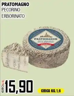 Big Food Pratomagno pecorino erborinato offerta