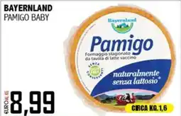 Big Food Pamigo Baby offerta