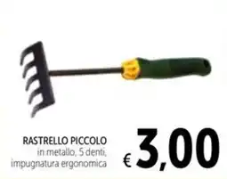 Spazio Conad Rastrello piccolo offerta