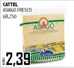 Big Food Cattel Asiago Fresco offerta