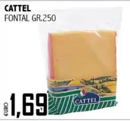 Big Food Fontal Cattel offerta