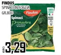 Big Food Spinaci in foglia Findus offerta
