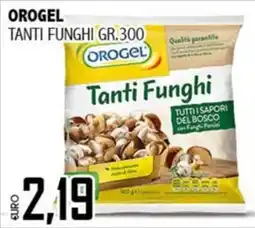 Big Food Orogel Tanti Funghi offerta