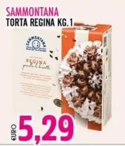Big Food Sammontana torta regina offerta