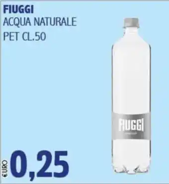 Big Food Acqua naturale Fiuggi offerta