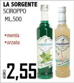Big Food La Sorgente sciroppo offerta