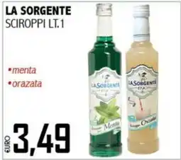 Big Food La Sorgente sciroppi offerta