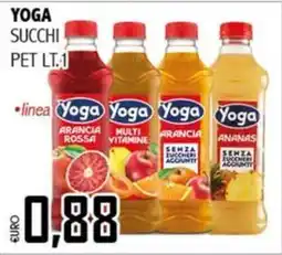 Big Food Yoga succhi offerta