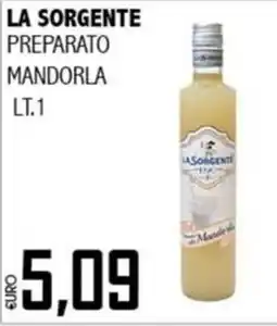 Big Food La Sorgente preparato mandorla offerta
