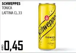 Big Food Schweppes tonica offerta