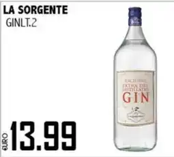 Big Food La Sorgente Gin Lt.2 offerta