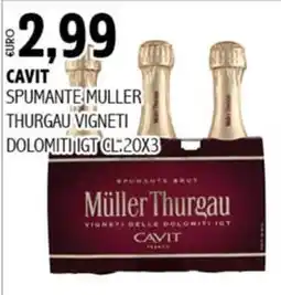 Big Food Spumante Müller Thurgau offerta
