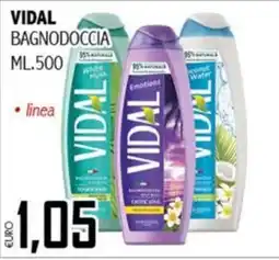 Big Food Vidal Bagnodoccia offerta
