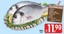 Decò Local Oraie offerta