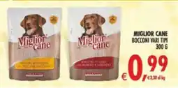 Decò Local Miglior cane I Preferiti offerta