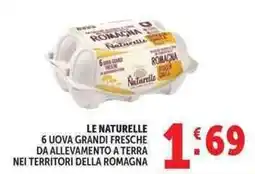 Deco Market Le Naturelle uova grandi fresche offerta