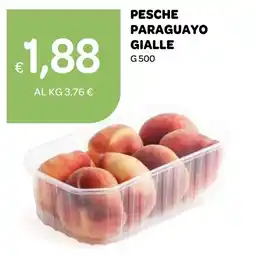Ekom Pesche Paraguayo Gialle offerta