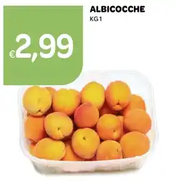Ekom Albicocche offerta