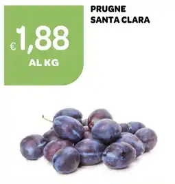 Ekom Prugne Santa Clara offerta