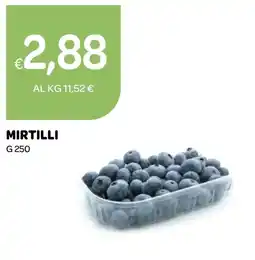 Ekom Mirtilli offerta