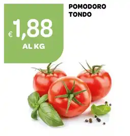 Ekom Pomodoro Tondo offerta