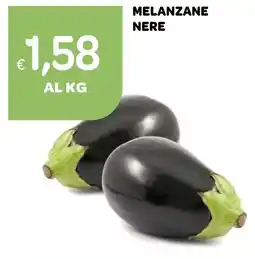 Ekom Melanzane nere offerta