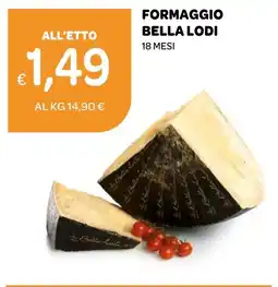 Ekom Formaggio Bella Lodi offerta