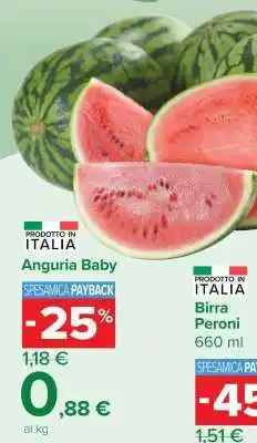 Carrefour Anguria Baby offerta
