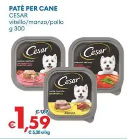MD Discount Patè per cane offerta