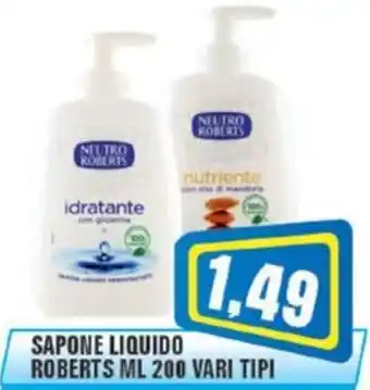 Punto Vigas Sapone liquido Roberts offerta
