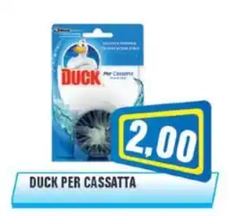 Punto Vigas Duck per cassatta offerta
