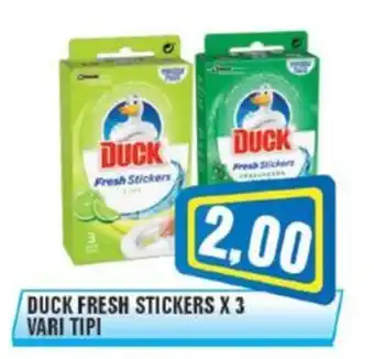 Punto Vigas Duck fresh stickers offerta