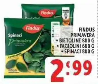 Deco Supermercati Findus Primavera offerta