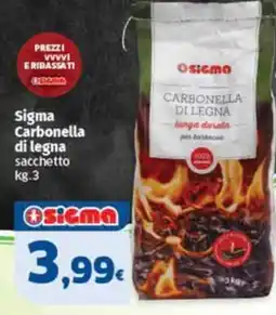 Sigma Superstore Sigma Carbonella di legna offerta