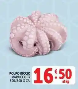 Deco Supermercati Polpo riccio Marocco T7 offerta