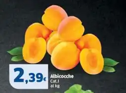 Sigma Superstore Albicocche offerta
