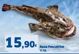 Sigma Superstore Rana Pescatrice offerta
