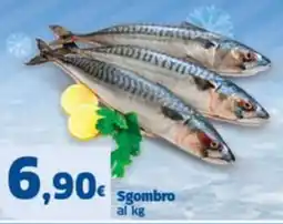 Sigma Superstore Sgombro offerta