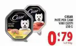 Deco Supermercati Cesar paté per cani offerta