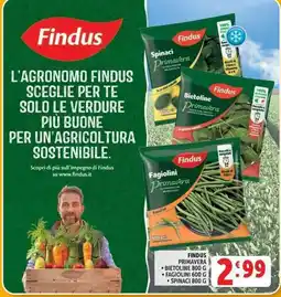 Deco Supermercati Findus Primavera offerta