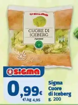 Il Punto Sigma Sigma Cuore di Iceberg offerta
