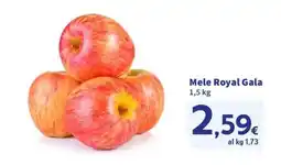 Ok Sigma Mele Royal Gala offerta